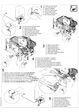 Document Thumbnail